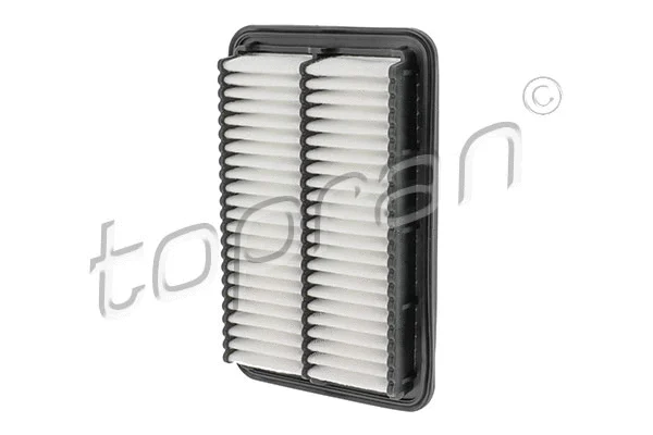 Air Filter (820 106)