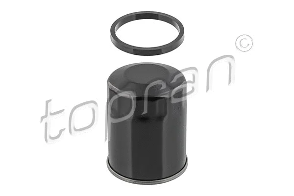 Oil Filter (600 031)