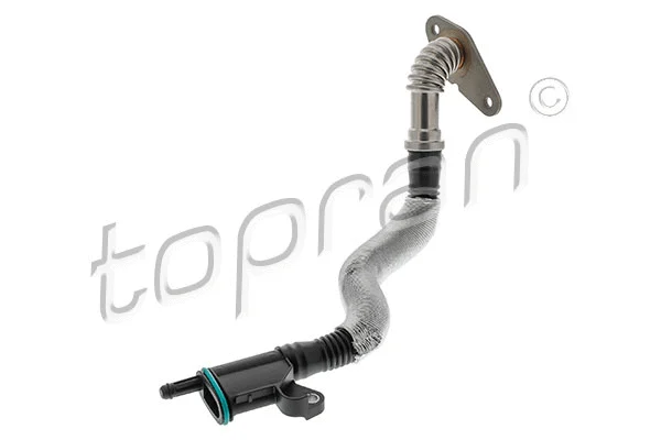 Hose, cylinder head cover ventilation (119 450)