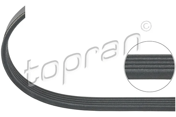 V-Ribbed Belt (115 846)