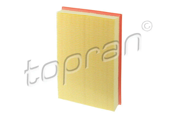 Air Filter (600 056)
