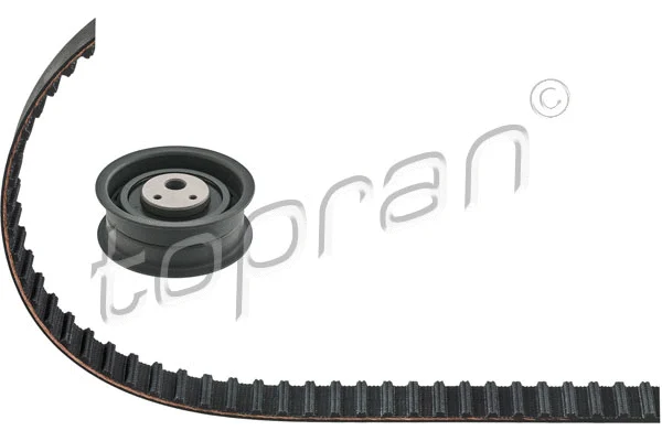 Timing Belt Kit (101 433)