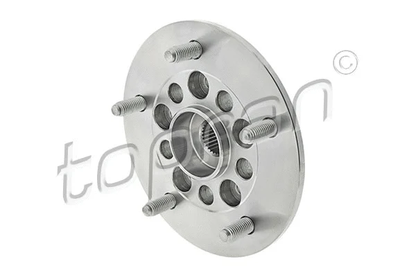 Wheel Hub (304 860)