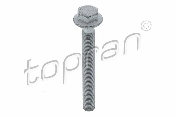 Screw (115 808)