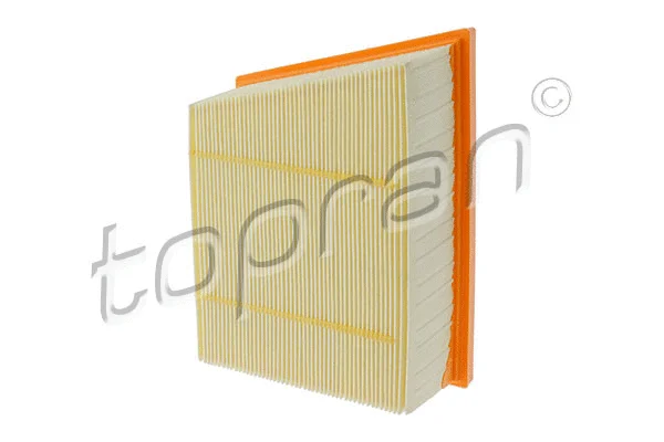 Air Filter (305 213)