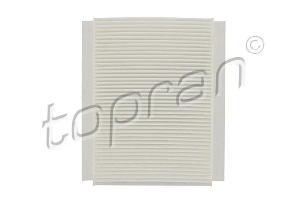 Filter, cabin air (600 089)