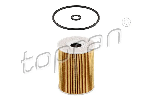 Oil Filter (207 479)