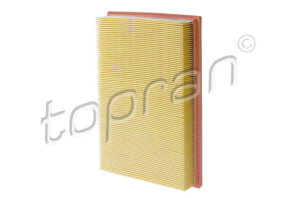 Air Filter (302 127)