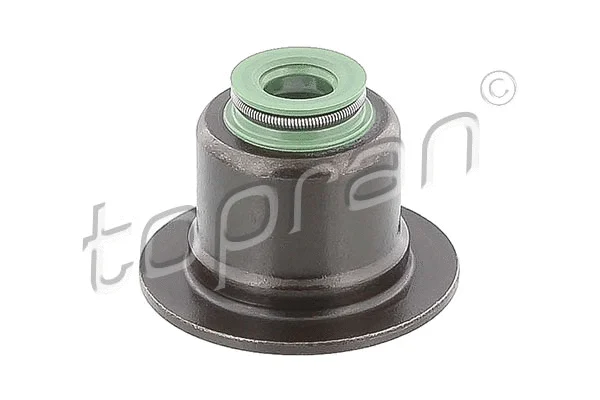 Seal Ring, valve stem (302 183)