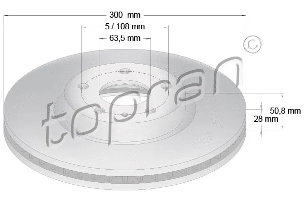 Brake Disc (304 854)