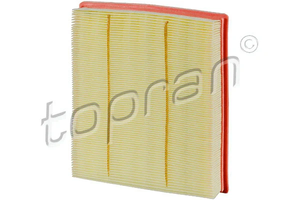 Air Filter (502 286)