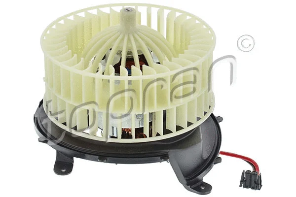 Interior Blower (401 849)