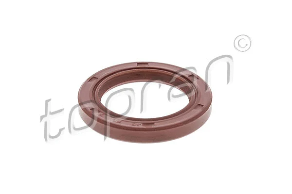 Shaft Seal, camshaft (720 118)