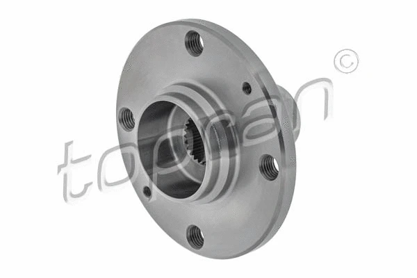 Wheel Hub (207 953)