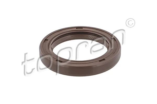 Shaft Seal, crankshaft (821 788)