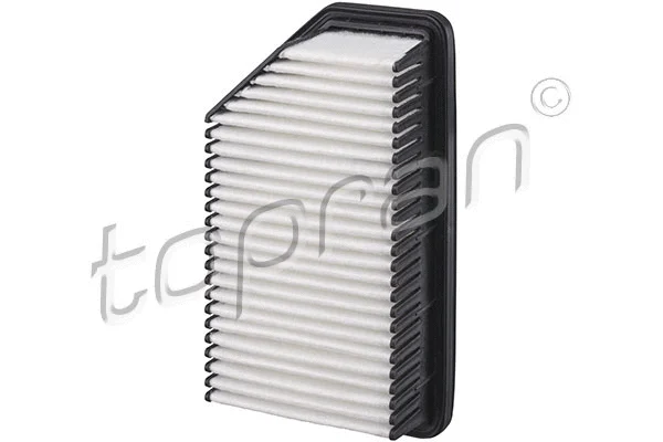 Air Filter (821 045)