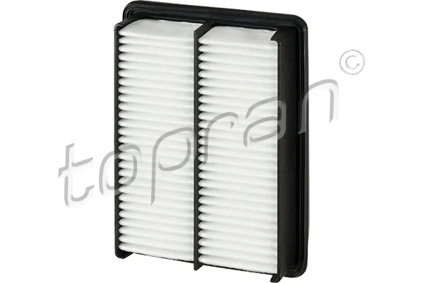 Air Filter (820 856)
