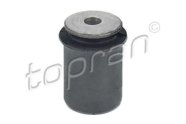 Mounting, control/trailing arm (400 056)