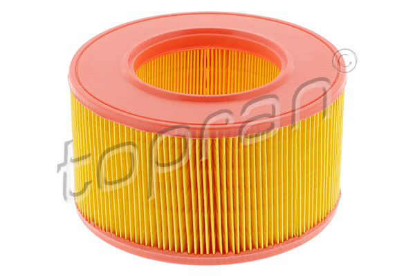 Air Filter (100 168)