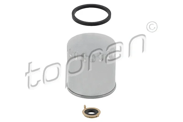 Fuel Filter (401 379)