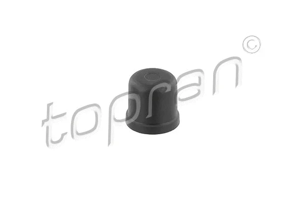 Sealing/Protective Cap (114 010)