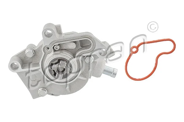 Vacuum Pump, braking system (110 873)