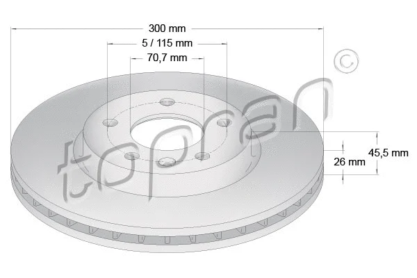 Brake Disc (207 982)