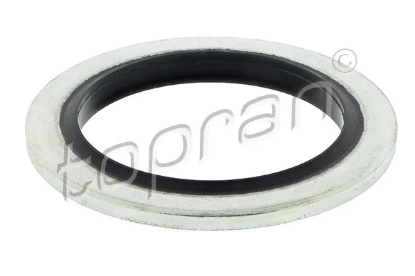 Seal Ring, oil drain plug (207 215)