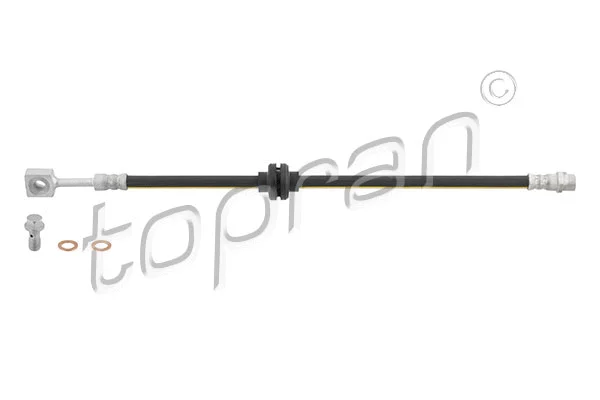 Brake Hose (208 702)