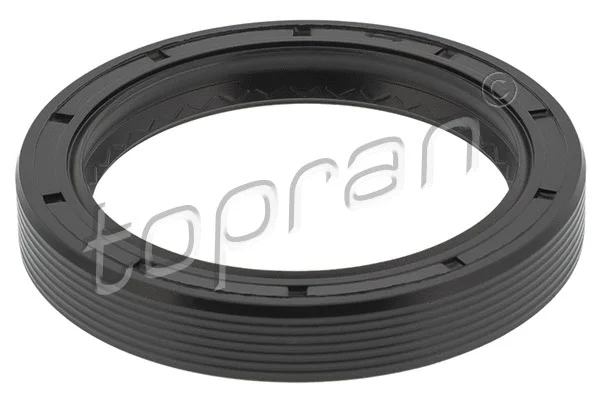 Shaft Seal, manual transmission (113 189)