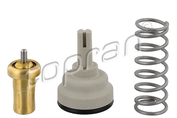 Thermostat, coolant (113 295)