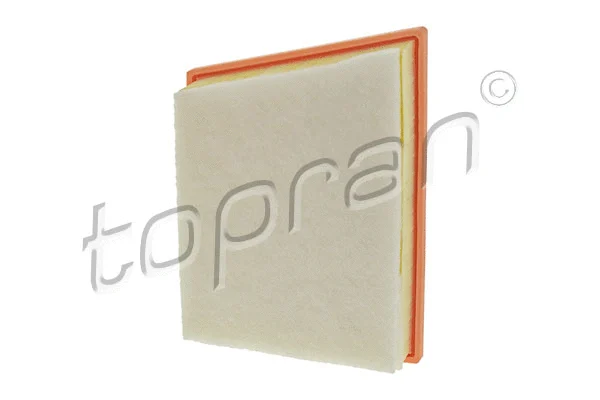 Air Filter (502 785)