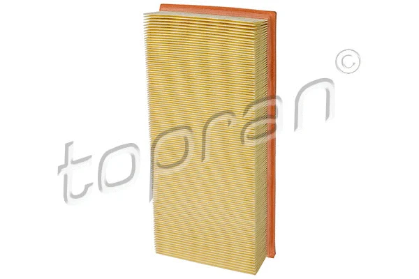 Air Filter (720 957)