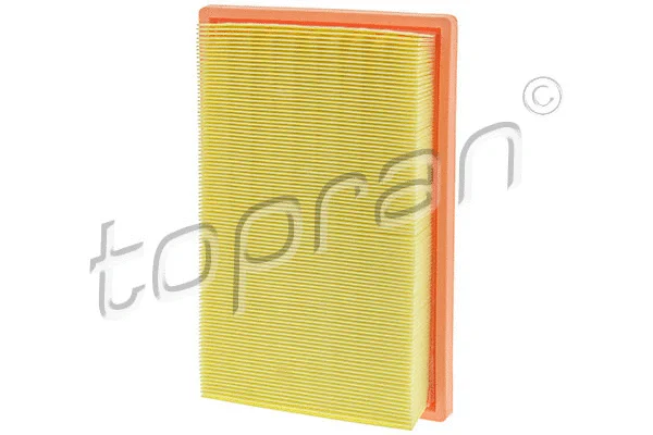 Air Filter (409 082)