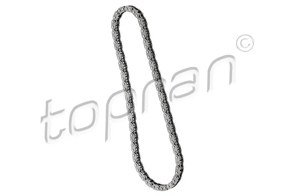 Timing Chain (208 822)