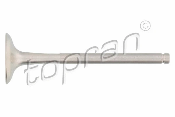Exhaust Valve (700 656)