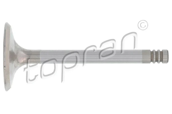 Intake Valve (100 822)