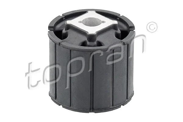 Bushing, axle bracket (502 933)