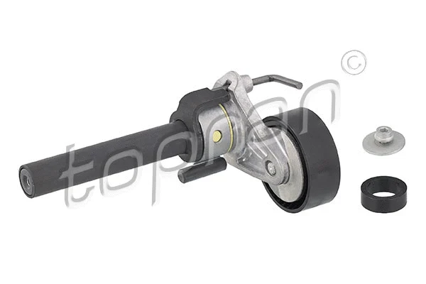 Belt Tensioner, V-ribbed belt (113 196)