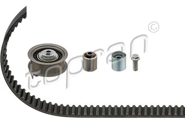 Timing Belt Kit (113 916)