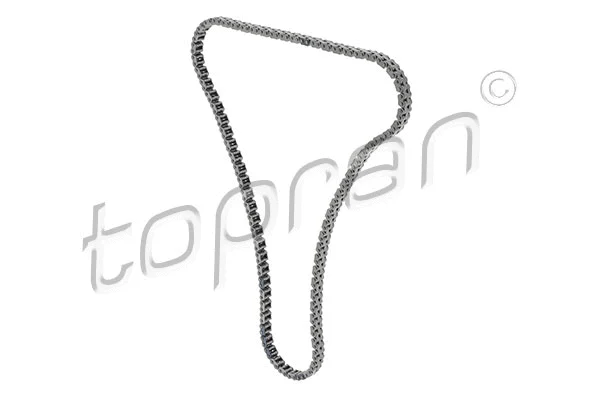 Timing Chain (632 657)