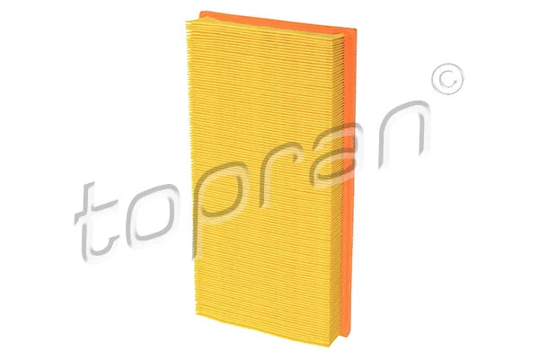 Air Filter (109 376)