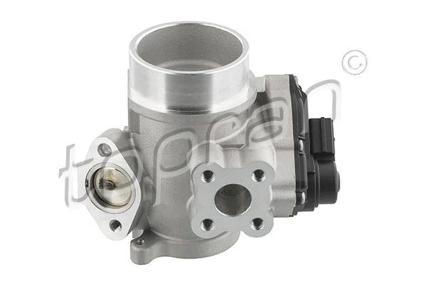 EGR Valve (639 195)
