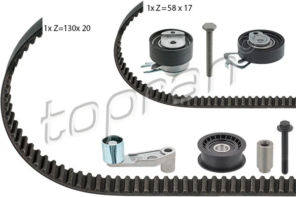 Timing Belt Kit (111 196)