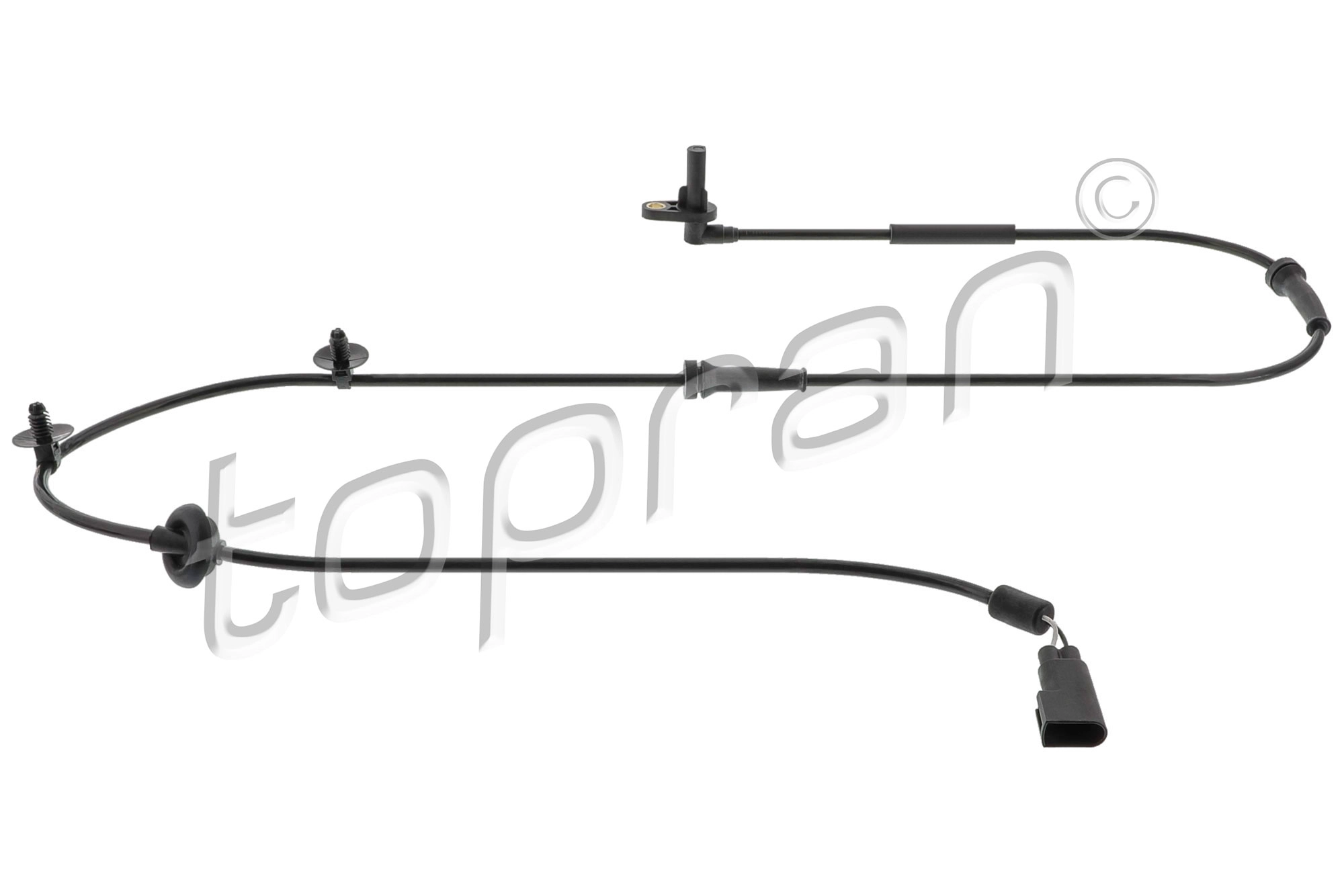 Sensor, wheel speed (303 951)