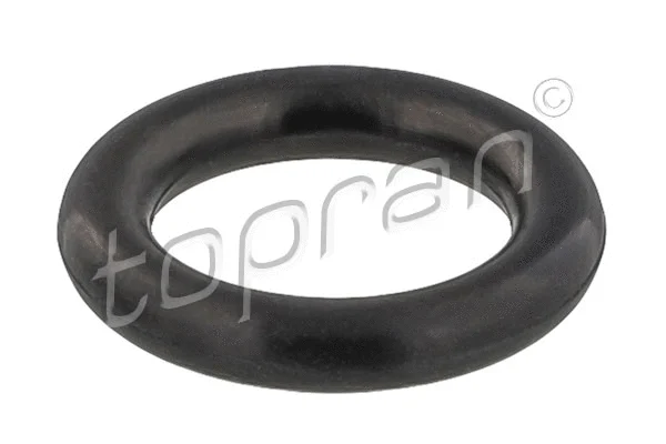 Seal Ring (628 307)