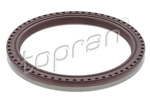 Shaft Seal, crankshaft (501 153)