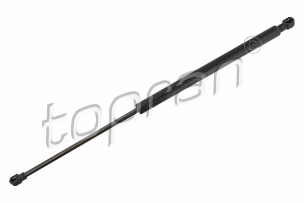 Gas Spring, boot/cargo area (600 189)