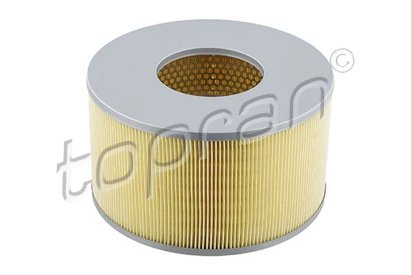 Air Filter (620 871)