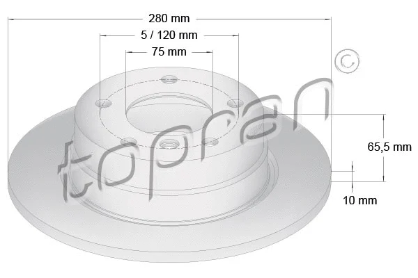 Brake Disc (501 223)
